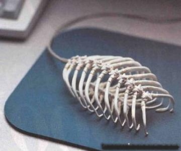 El mouse podria morir